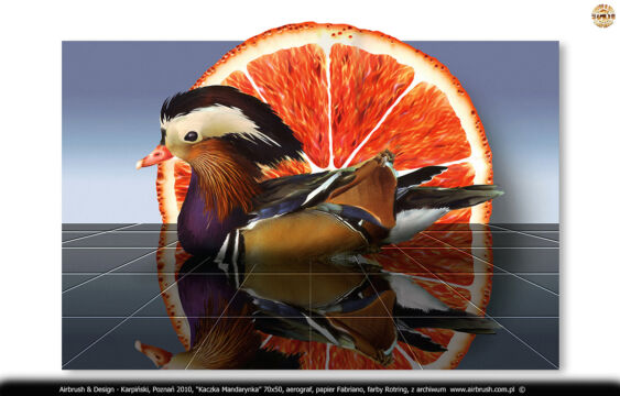 2010.04.03 – KACZKA MANDARYNKA – MALARSTWO AIRBRUSH