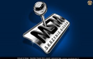 projekt i wykonanie logo dla firmy MSM